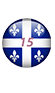 egg15