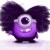 Gagnants concours gratuits